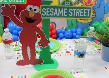 Kids Cuckoos Nest Kids Birthday Party Designs (4)